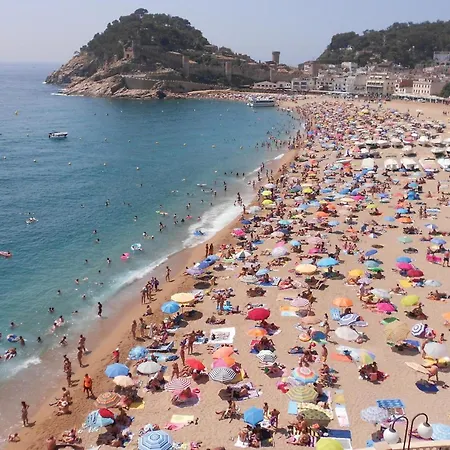 Amazing In Holiday home Tossa de Mar